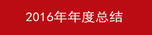 2016年度總結(jié)